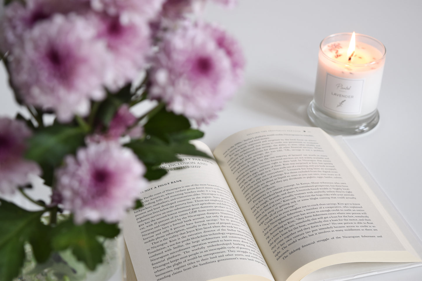 Calming Lavender Candle-Planted