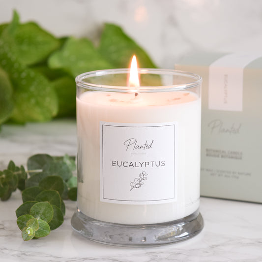 Energizing Eucalyptus Candle-Planted 9oz