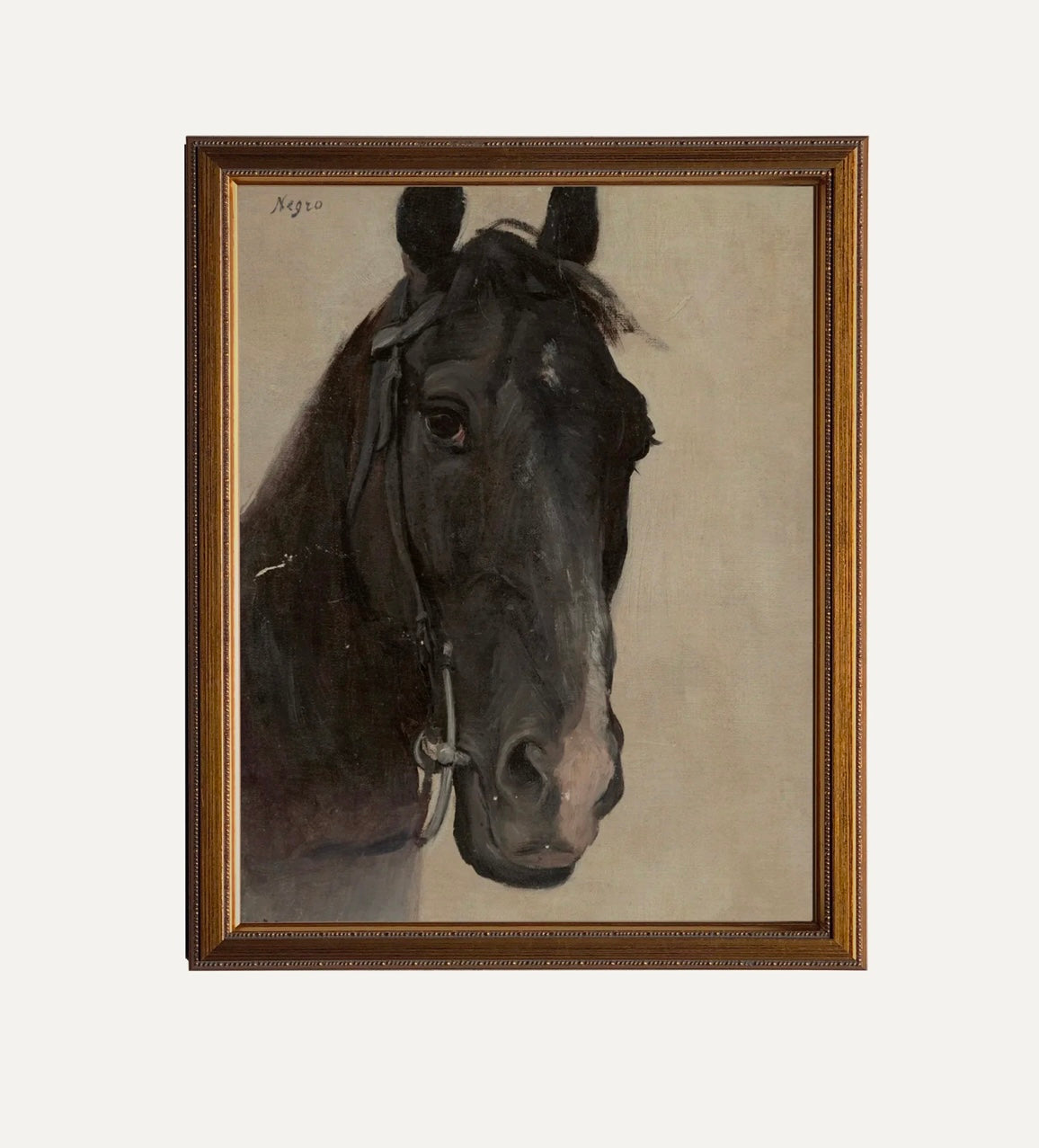 Fine Art Print- The Black Horse 12x18” (framed)