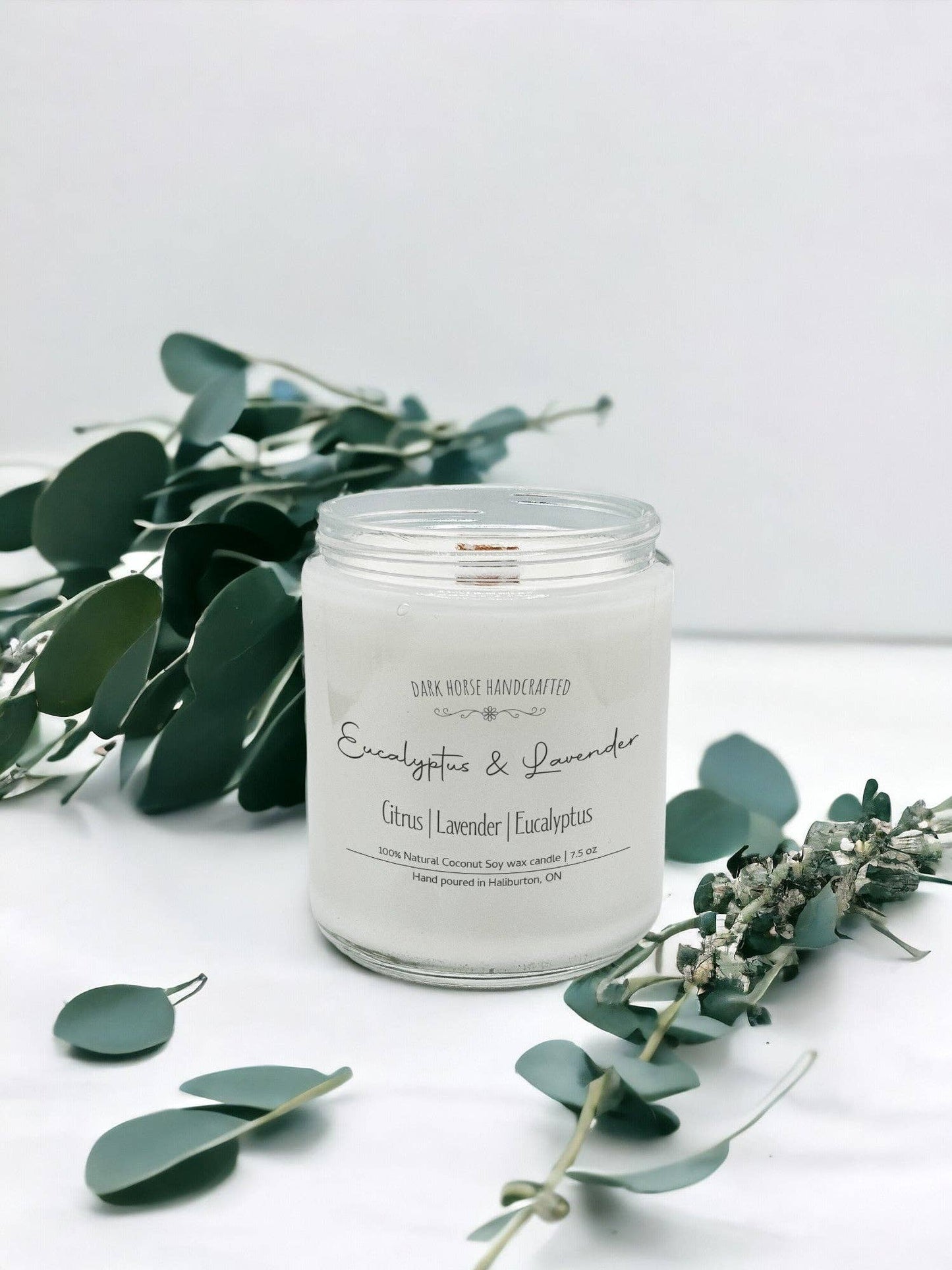 Eucalyptus & Lavender - Scented Coconut Soy Candle